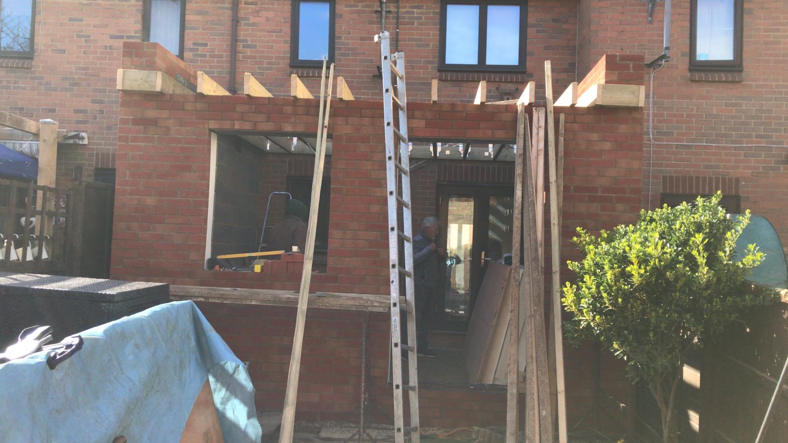 Bull Stag Green Robert Blake Designs